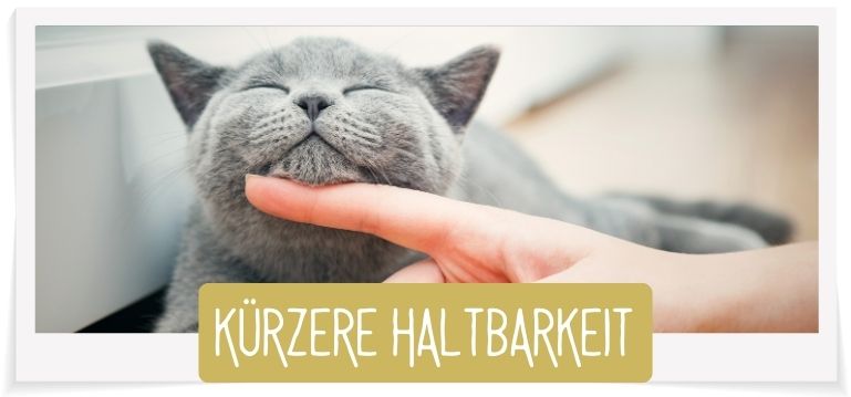 Katzenfutter mit kürzerer Haltbarkeit